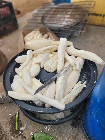 White tuberous vegetables on a black plate with a knife.
